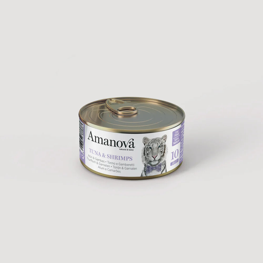 10 Tuna & Shrimps in jelly