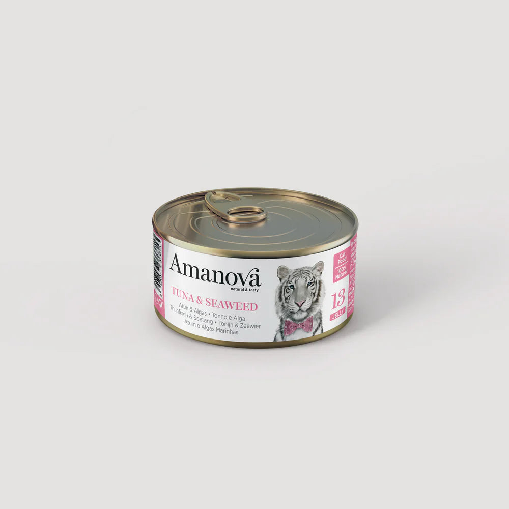 13 Tuna & Seaweed in jelly