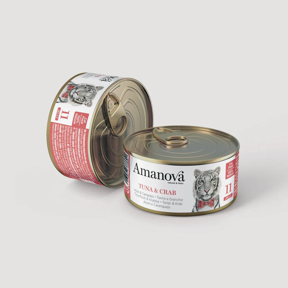 11 Tuna & Crab In jelly