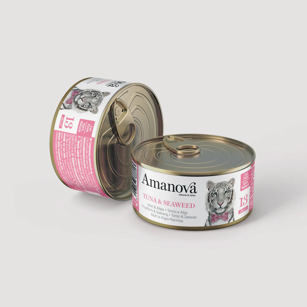 13 Tuna & Seaweed in jelly