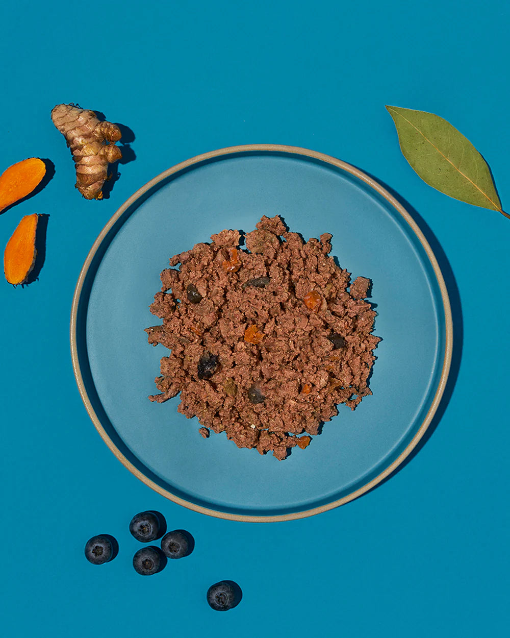 P04 Adult Dog - Iberian Pork