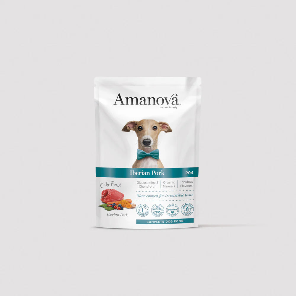 P04 Adult Dog - Iberian Pork