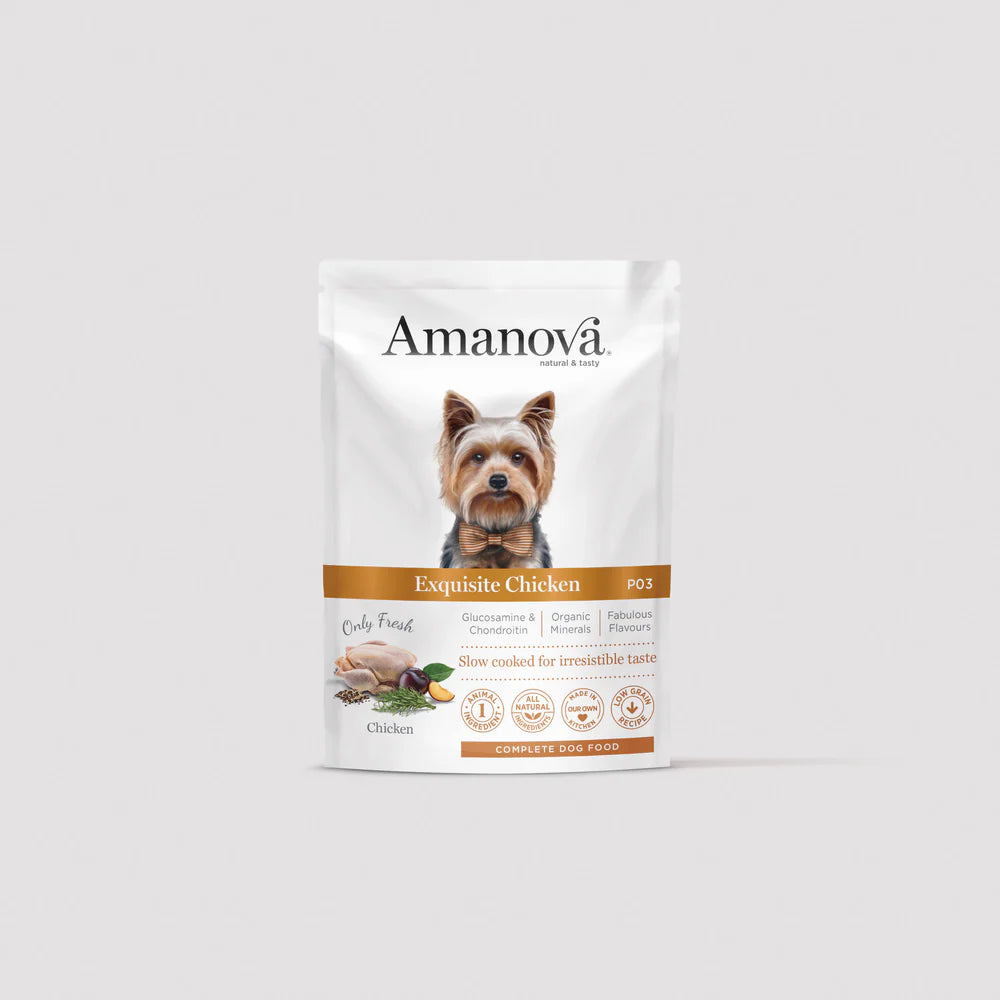 P03 Adult Dog - Exquisite Chicken