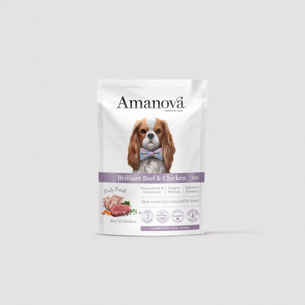 P01 Adult Dog - Brilliant Beef & Chicken