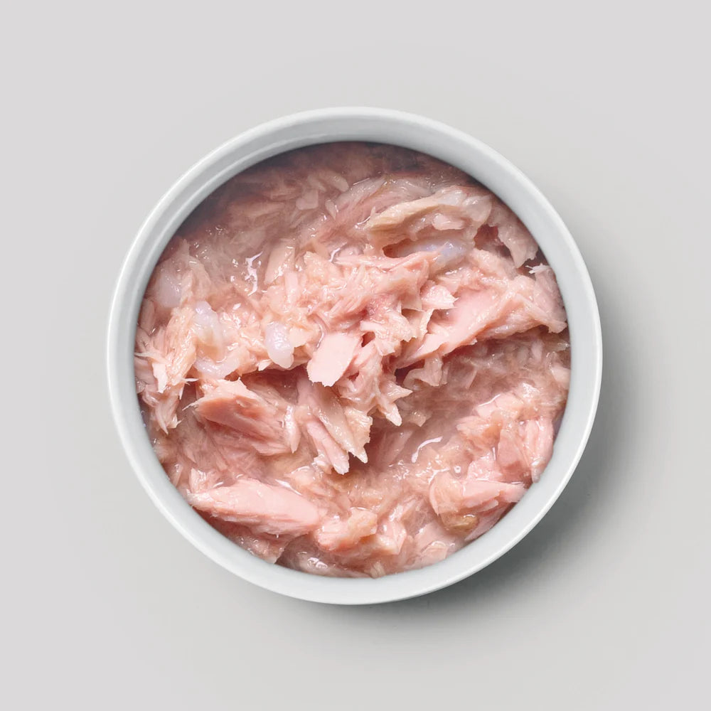 07 Tuna Fillets In broth
