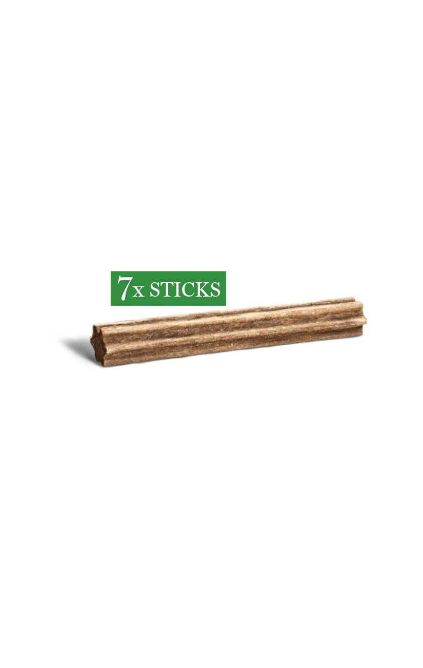 Dental Chews - Medium/Large