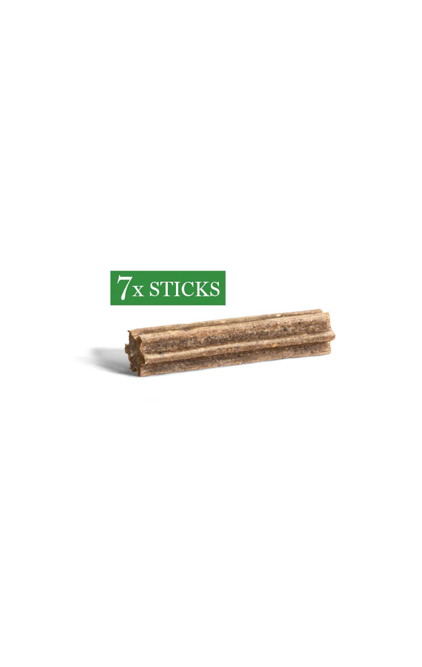 Dental Chews - Small/Mini